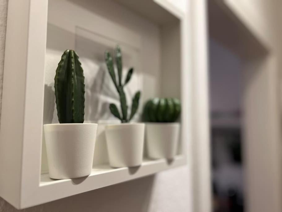 Stadtoase Design Wohnung In Der Altstadt Von Koblenz Κόμπλεντς Εξωτερικό φωτογραφία